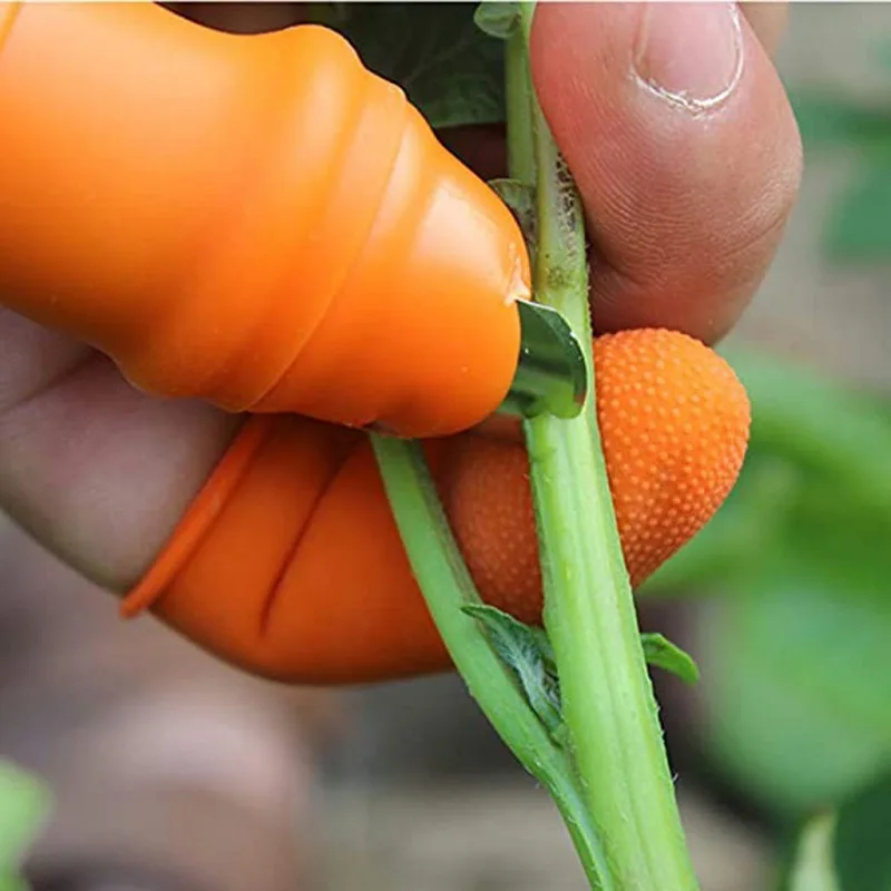 Picking Vegetable Thumb Knife Picking Pepper Bean Angle Iron Nail Vegetable Agricultural Magic Tool garden tool