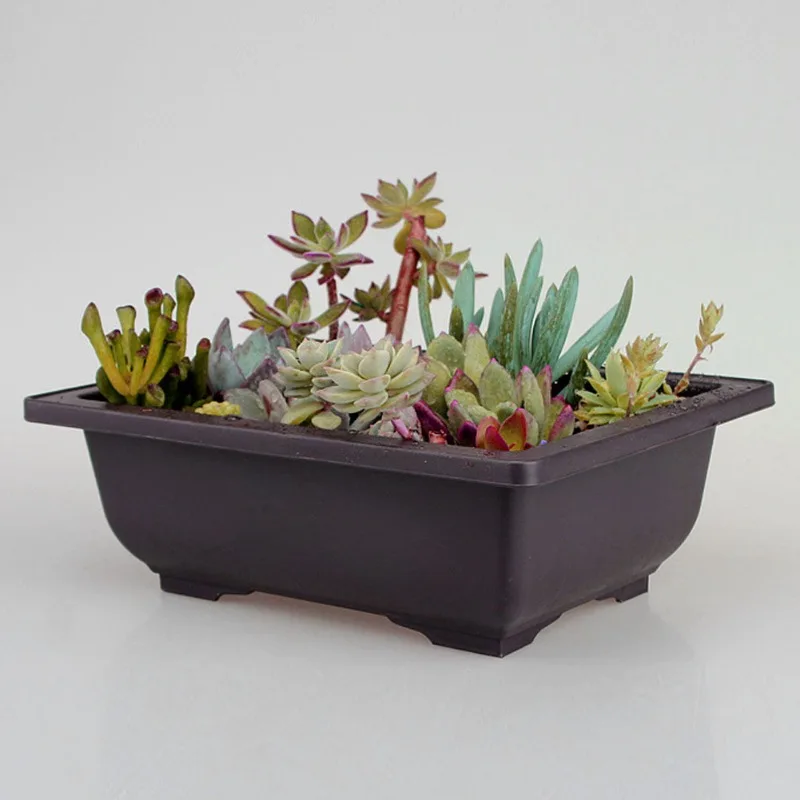 5Sets Plastic Plant Pots With Square Trays For Flower Succulent