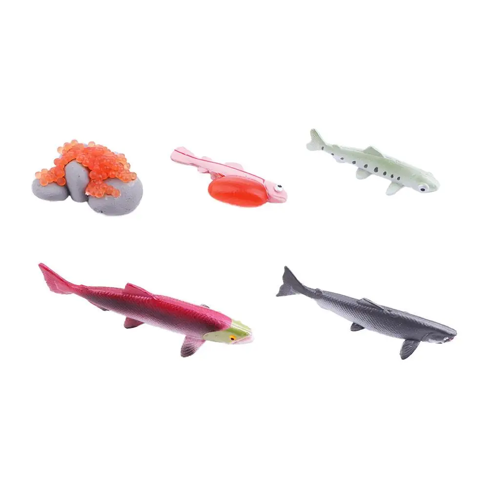King Crab Earthworm Simulation Insect Educational Toys Children Octopus Salmon Realistic Life Cycle Growth Cycle Model