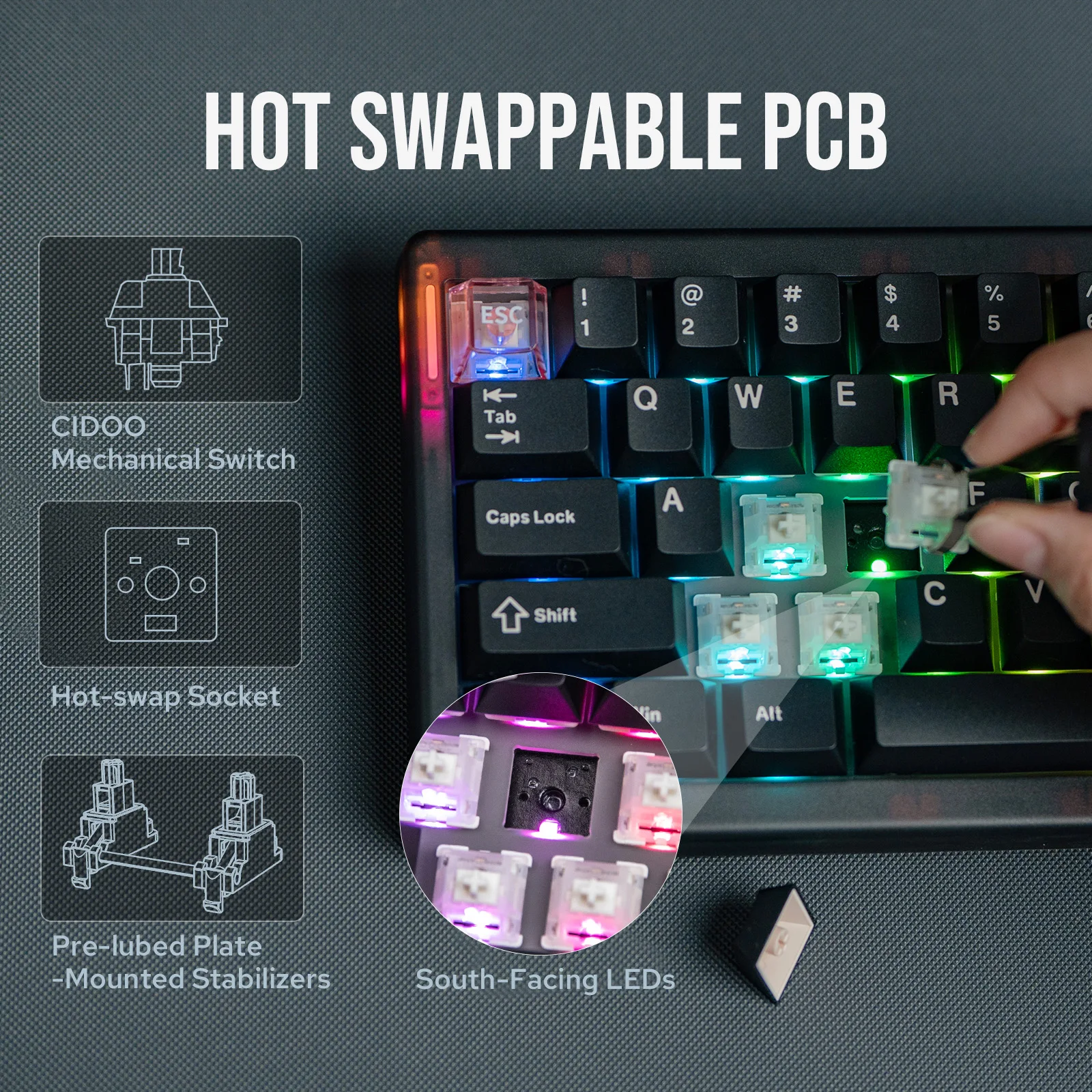 Enhanced Compact Keyboard with Gasket Structure and Versatile Connectivity, Featuring South-Facing LEDs