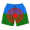 Romani People Rom Gypsy Flag Mens Swim Trunks Qucik Dry Board Beach Shorts Bathing Suit for Men Boardshorts Lightweight 5