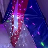 Big LED Delta Night Kite 3SQ Spider Triangle Kite with Lights, 10m Colorful Tubing Tails, 544 RIPSTOP NYLON 6