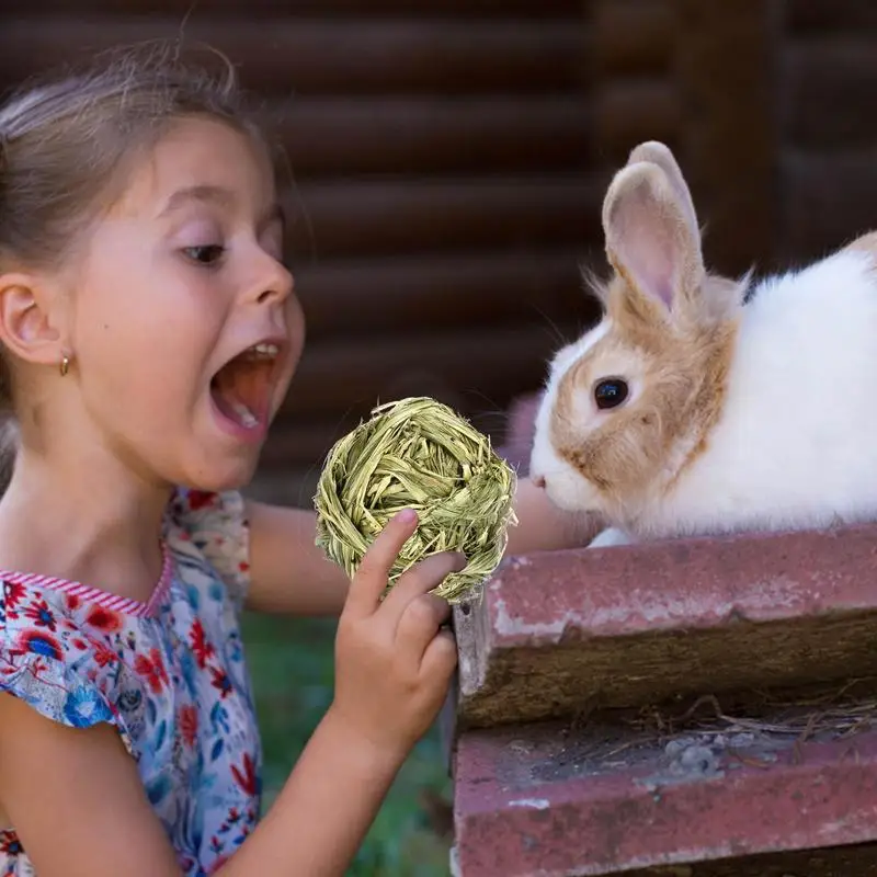 Erba palla erba anello Pet denti rettifica giocattoli criceto coniglio masticare giocattolo pulizia dei denti molare piccoli animali accessori