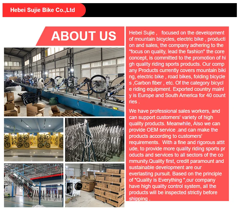 Bicicleta deportiva profesional Bicicleta Aluminio 29 Mtb Bicicleta de montaña