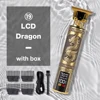 LCD Dragon