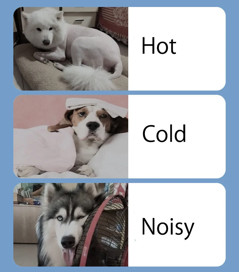 Sbdb726c515da4c66a6eea9ae6ebecb0ap