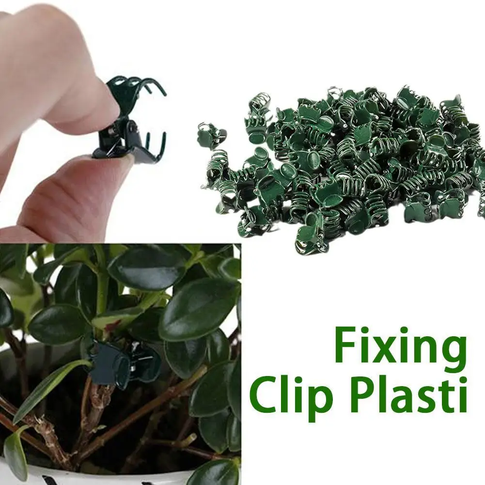 Plant Climbing Wall Butterfly Clips Vine Buckle Hook Garden Support Clamp Flower Plant Rattan Branch Grow