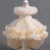 Shiny Toddler Little Girls Ruffled High-Low Wedding Flower Girl Birthday Party Graduation Ceremony Pageant Holiday Easter Dress 4