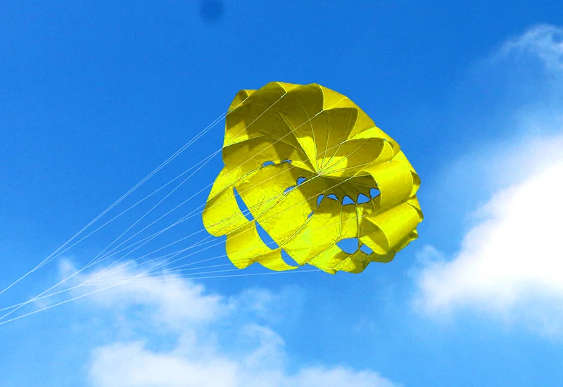 Dual-Line Stunt Power Kite – Soft Parafoil Kite for Kids, Ideal for Outdoor Flying and Kitesurfing stunt kite