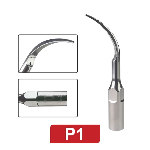 Store Home Products New Year Bliss Top Selling Feedback