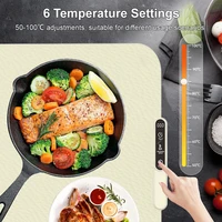 Chauffe-plat électrique pliable, plateau chauffant à chauffage rapide, maintien au chaud des aliments, plaque chauffante portable, 6 réglages de température 2
