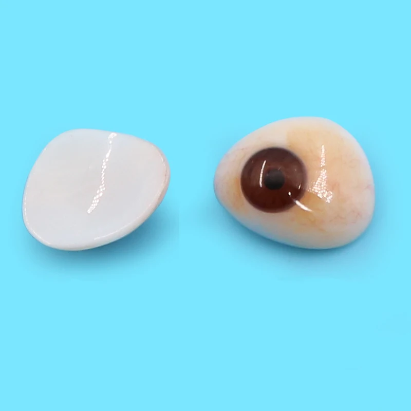 Imported polymer resin prosthesis piece eye atrophy removal wax display ultra-thin disabled eyeballs ophthalmic tool