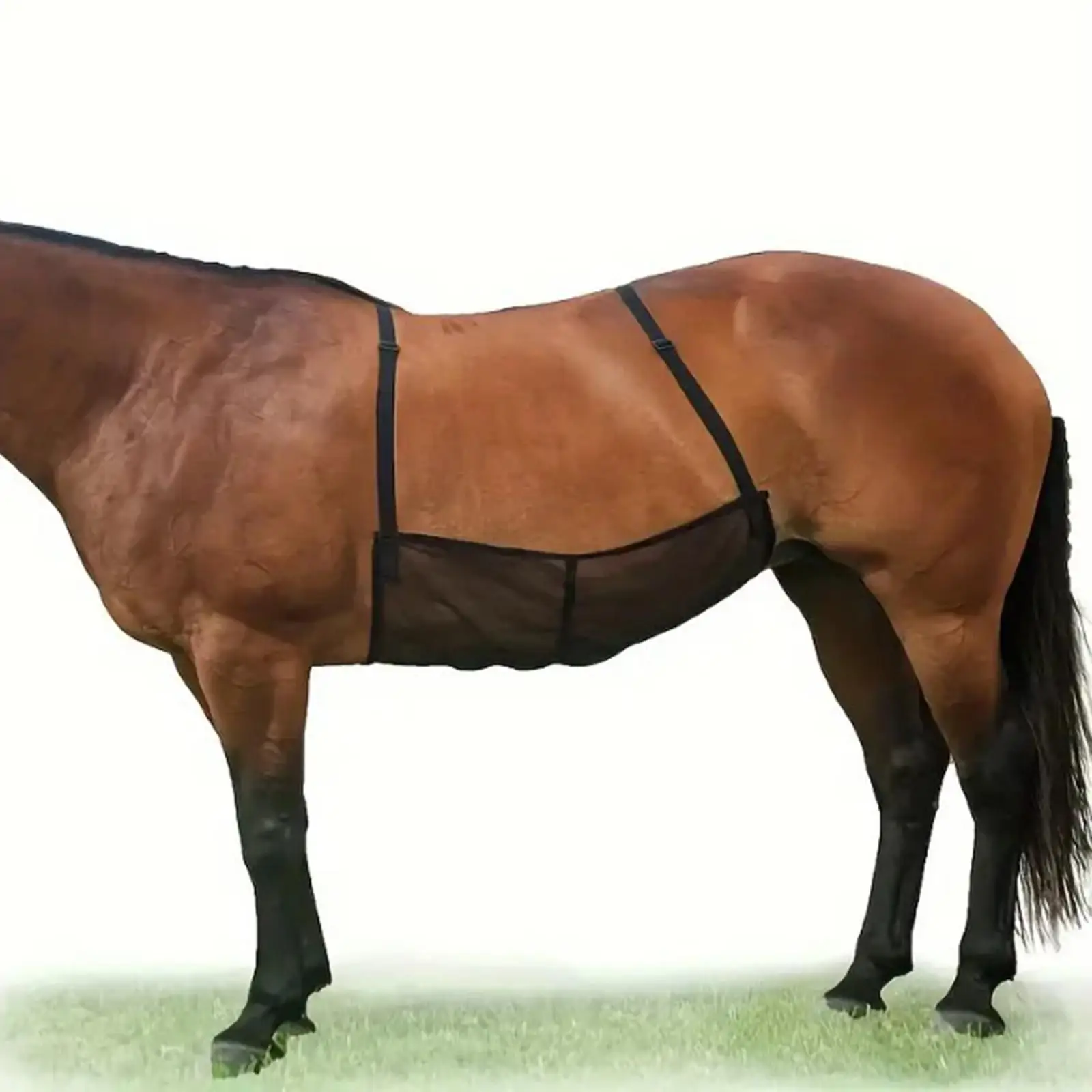 Horse Fly Sheet Belly Guard Summer Coverage Comfortable Pet Supplies Wrap