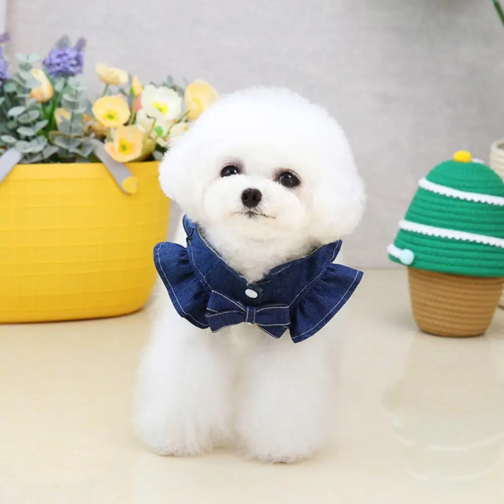 강아지 원피스 자수 글자 퍼프 슬리브 트랙션 후크, 키티 옷, 강아지 의상, 단색 스커트, 반려동물 가디건, 여름