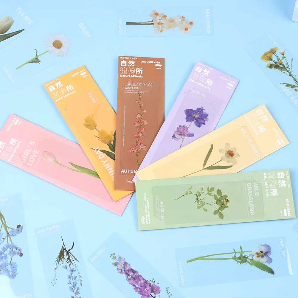 Book Note Marker PET Page Holder Reading Mark Bookmarks Card Translucent Flower Nature Plants Bookmarks Specimen floral painting bookmark,bookmark page holder,bookmark holder,retro flower bookmark
