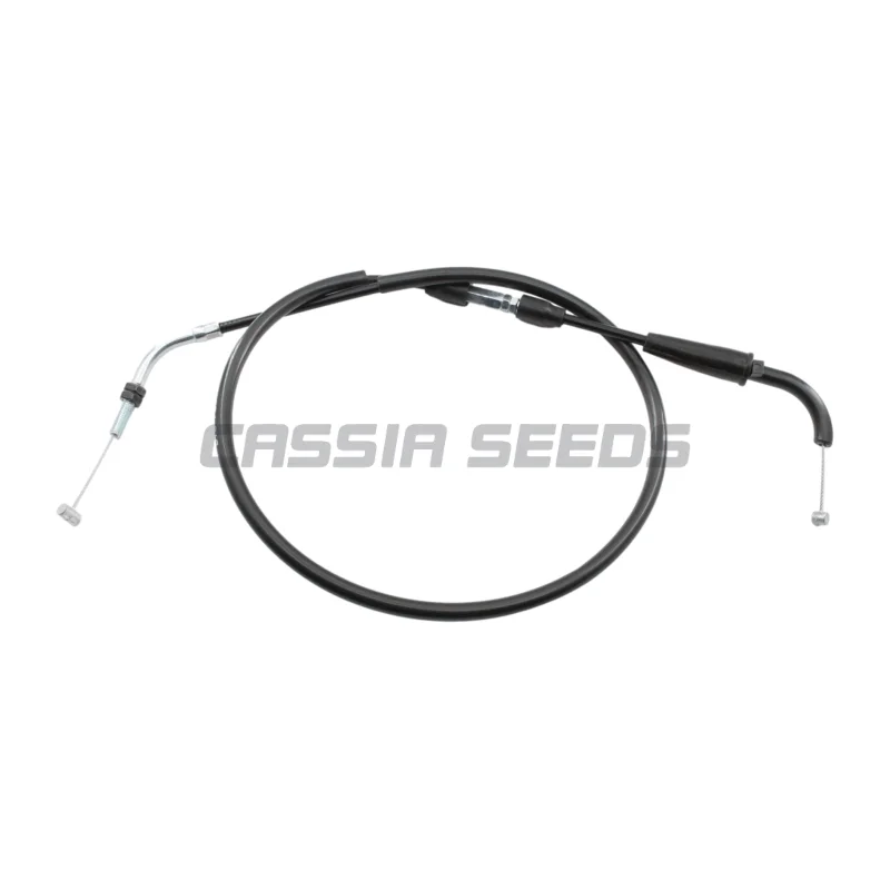 Store Home Products Anniversary Sale Feedback