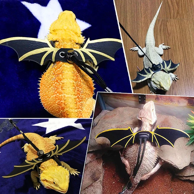 Lizard lead reptile walking lead gecko lead small pet lead colorful wing lead adjustable lizard lead for outdoor carrying 2