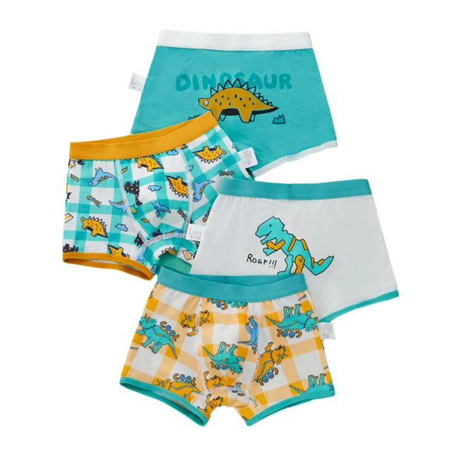  Little Boy Underwear Toddler Kids Baby Briefs Pants Soft  Underpants Briefs Cartoon Dinosaur Print Pants (C, 5-6 Years): Clothing,  Shoes & Jewelry