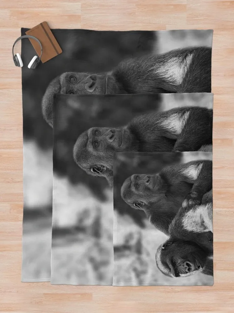 ������ ������ ������ ���, ���Ŀ� ���� ���, ǫ���� ����