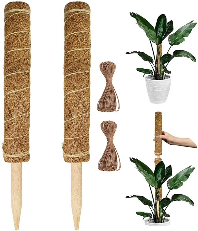 Lot De 12 Supports Pour Plantes Grimpantes - Noir, Réutilisables, 4 Diamètres (plastique Durable)
