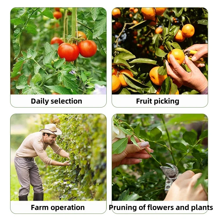 2pcs Vegetable Thump Knife Separator Vegetable Fruit Harvesting Picking Tool Fruit Picker For Farm Orchard Gardening Tools garden hand tools