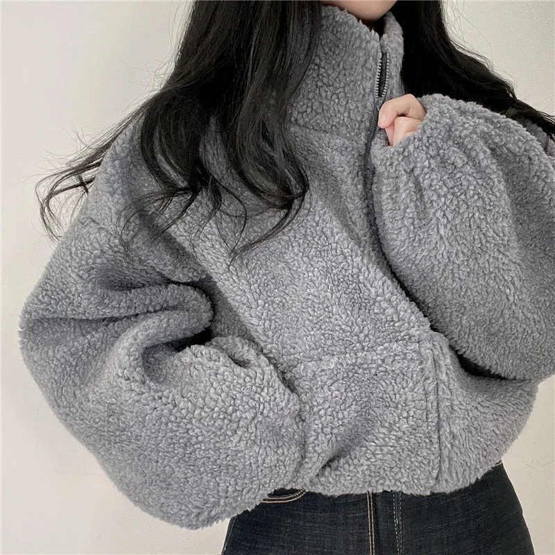 Frauen Herbst Winter Warme Faux Lamm Wolle Mantel Fleece Stehkragen Kurze Jacke Plüsch Dicke Oberbekleidung Zipper Streetwear Mantel – Detail 21