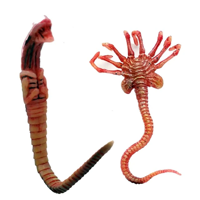 Alien Vs Predator Facehugger Scene