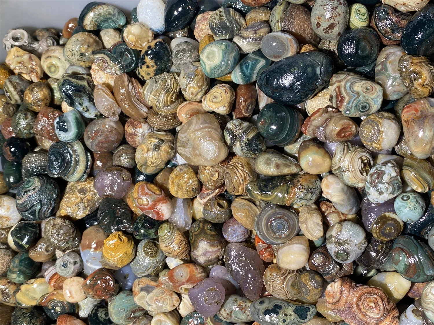 1kg/lot Rare Colorful Eye Stone Gobi Agate Non-Porous Bulk Rough Collectibles Miraculous strong energy amulet