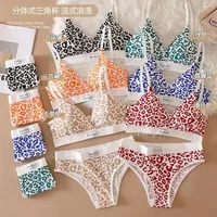 1/5/6Sets New Women's Leopard Print Traceless and Steel Rim Bra Adjustable Shoulder Strap Back Women's Underwear Set