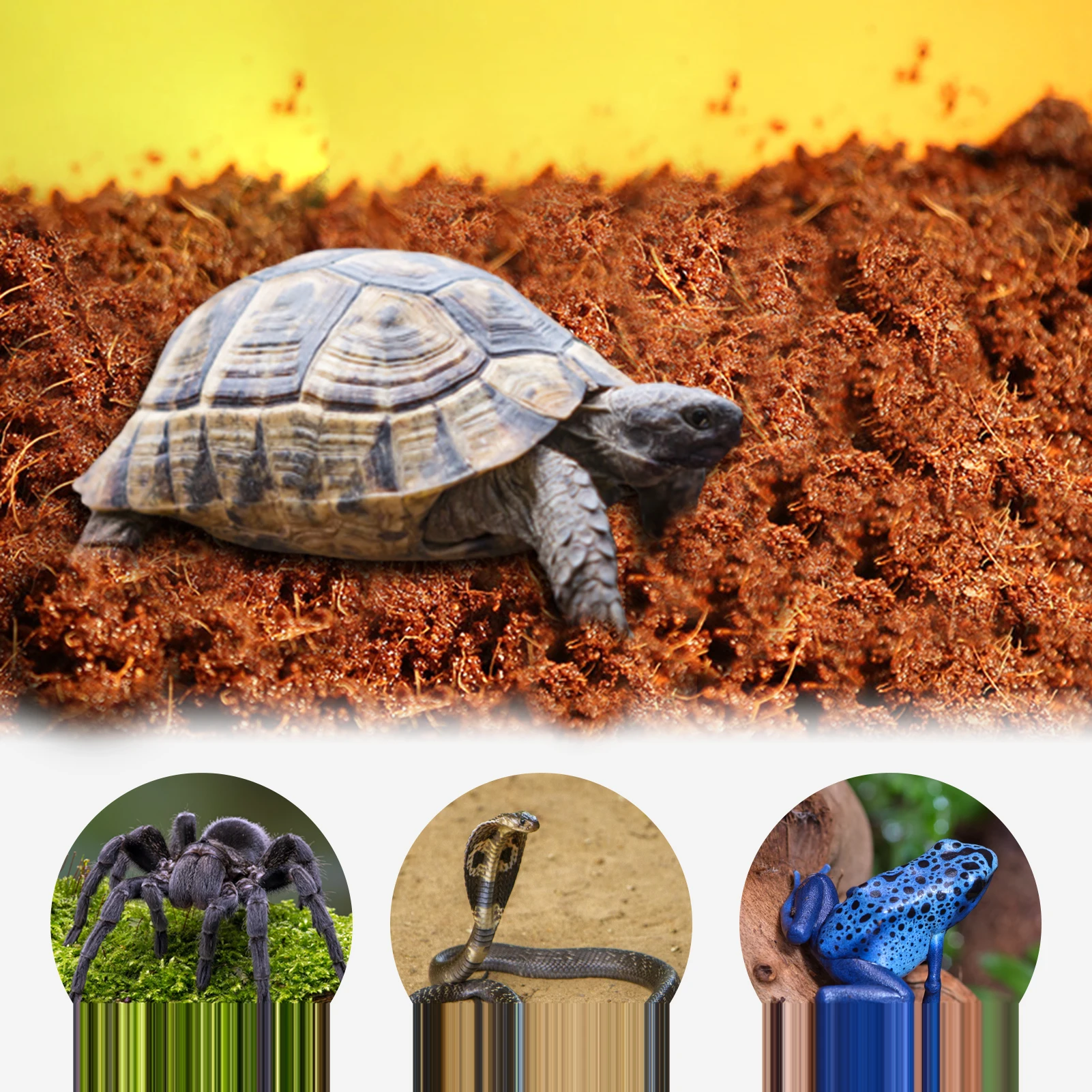 Coconut-Coir-Compressed-Brick-Organic-Soilless-Potting-Garden-Plants-Soil-Nutrient-Bed-Flowers-Herbs-Plant-Soil.jpg Kókuszdió -Kókuszrögzített Tégla Organikus Segédanyag Cserepes Kerti Növények Talaj Tápanyag Ágy Virágok Gyógynövények Növényi Kókuszrillek - Image 2