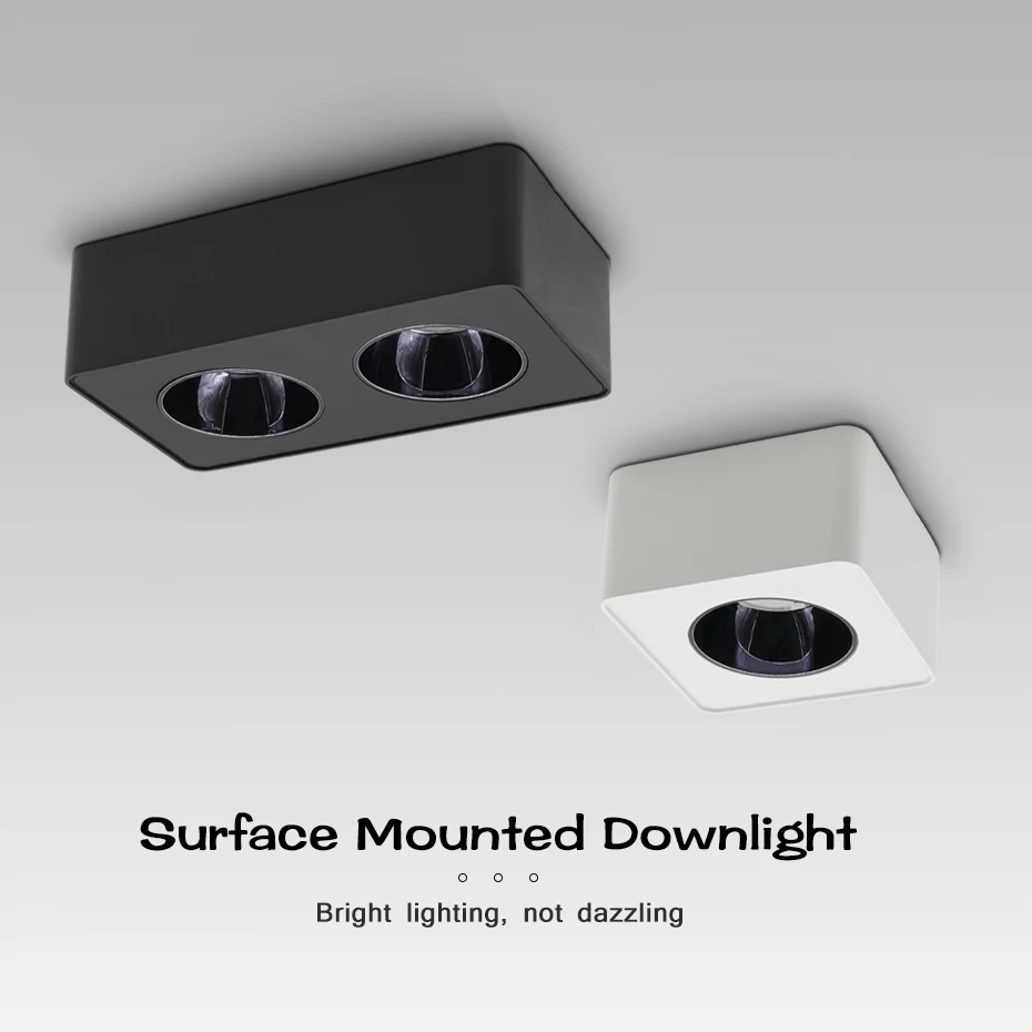

Surface Mounted LED Downlight Single/Double Head 10W 15W 20W 30W Anti Glare Ceiling Spot Lights for Bedroom Living Room Corridor