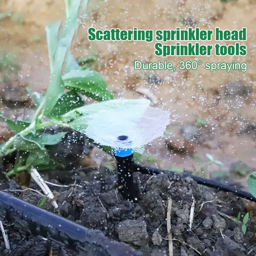 ���� ���� ���� ��� ��ȭ�� ����, ���� ������ ���� �й���, ���� ��ä �޼� ����