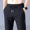 2025 Ice Silk Men's Pants Summer New Black Gray Thin Business Casual Pants Outdoor Elastic Breathable Straight Leg Sweatpants