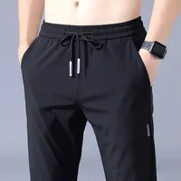 2025 Ice Silk Men's Pants Summer New Black Gray Thin Business Casual Pants Outdoor Elastic Breathable Straight Leg Sweatpants