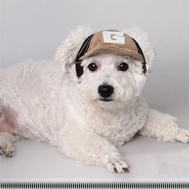 Dog Sunscreen Baseball Hat 5