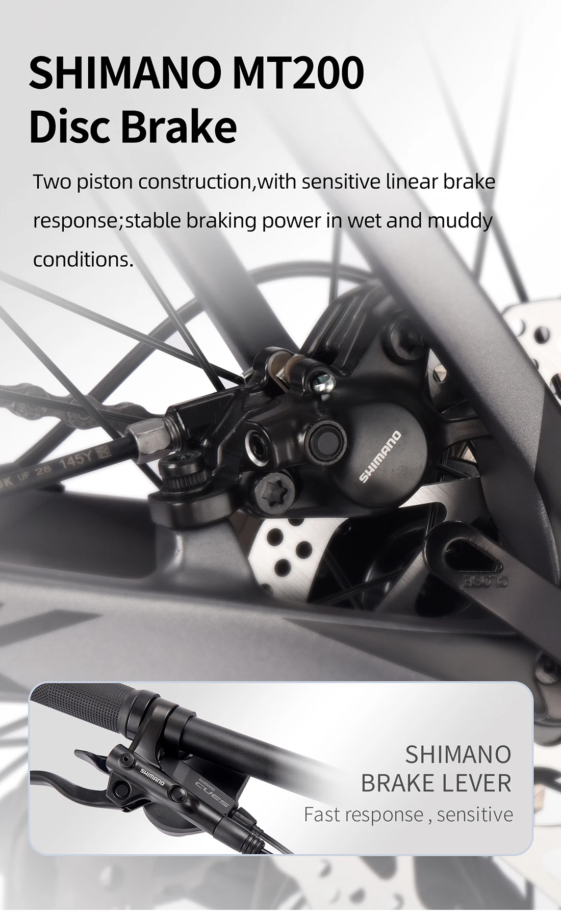 SAVA DECK2.0 Bicicleta de montaña con estructura de carbono de 29 pulgadas, bicicleta de montaña para adultos, 29 pulgadas, cuadro de carbono 15/17/19 con SHIMANO 18S