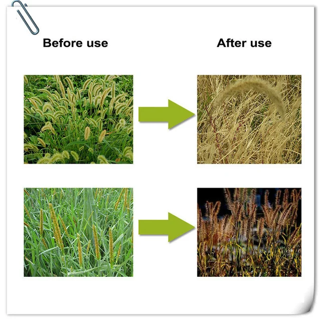 95% Phosate Nevű Kert - Image 4