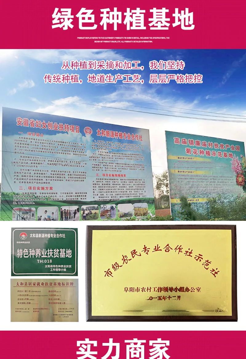Small Leaf Kuding Herbal Chinese Preventing Obesity and Asthma, Ku Ding Delaying Aging Festive Party Supplies