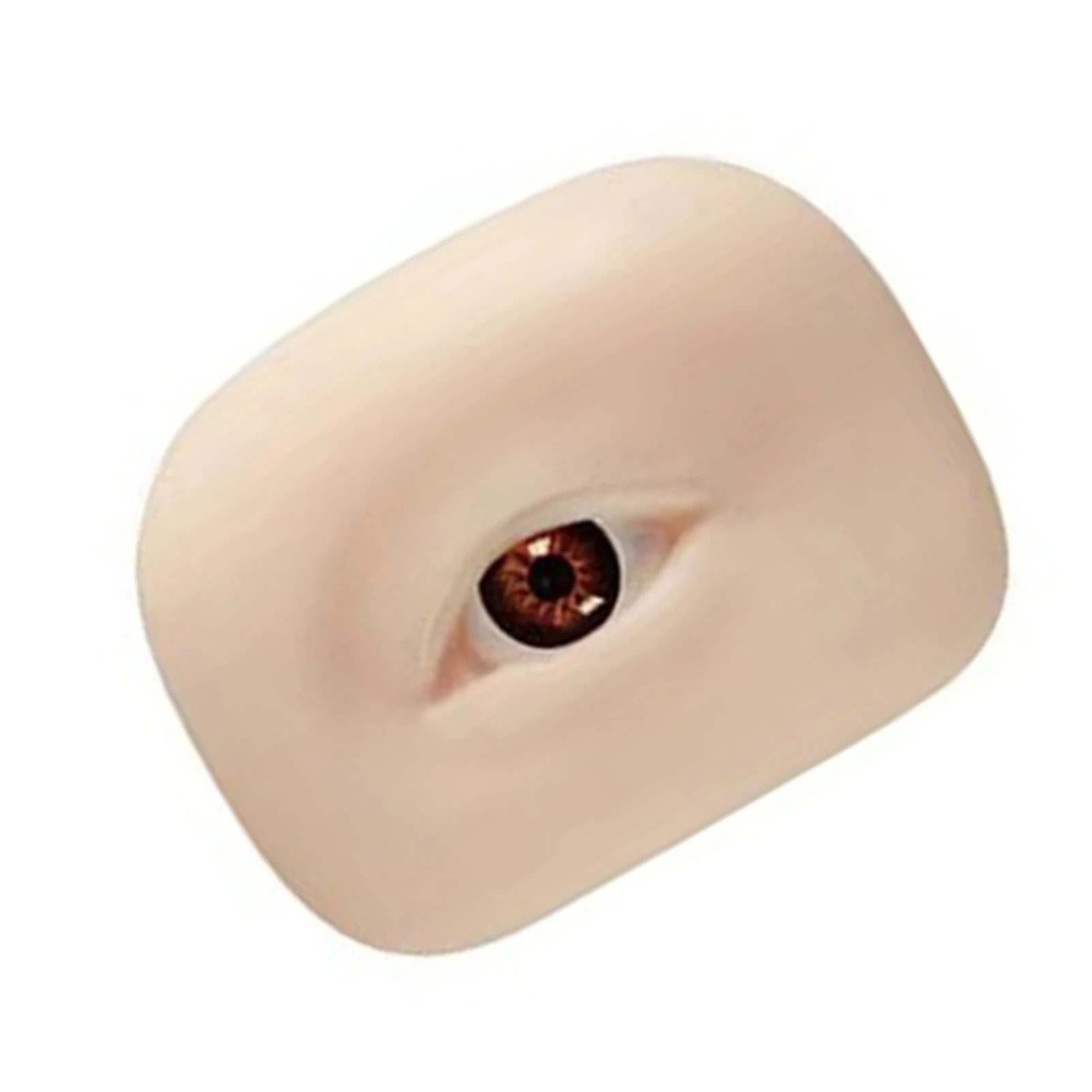 

Fake Eyebrow Model with Eyeball Realistic Looking Soft Eyebrow Model for Eyebrow Tattoo Practice Use