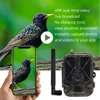 4G HD LIVE Video Lithium Battery Cellular Trail Camera 50MP 4K Wireless Game APP Cloud Service Waterproof IP66 Wildlife Cam 4