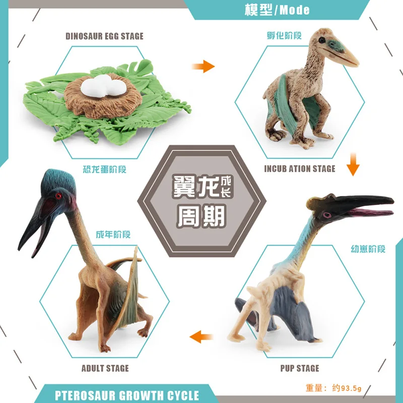 Dinosaur Growth Cycle Dinosaur Model Toy Animal Life Cycle Board Children Toys Montessori Teaching Aids preschool cognitive Toys 3