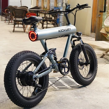 Full Suspension Ebik Kids Electric Bike 1