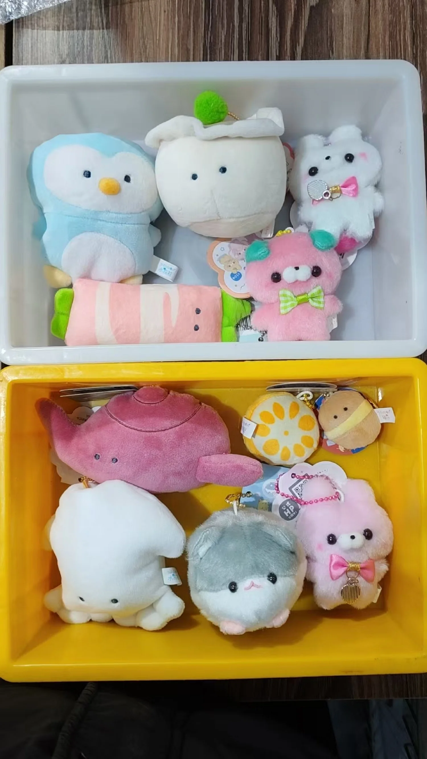 La casa dei Cactus di Fuoco: agosto 2019, image size:1500x2666