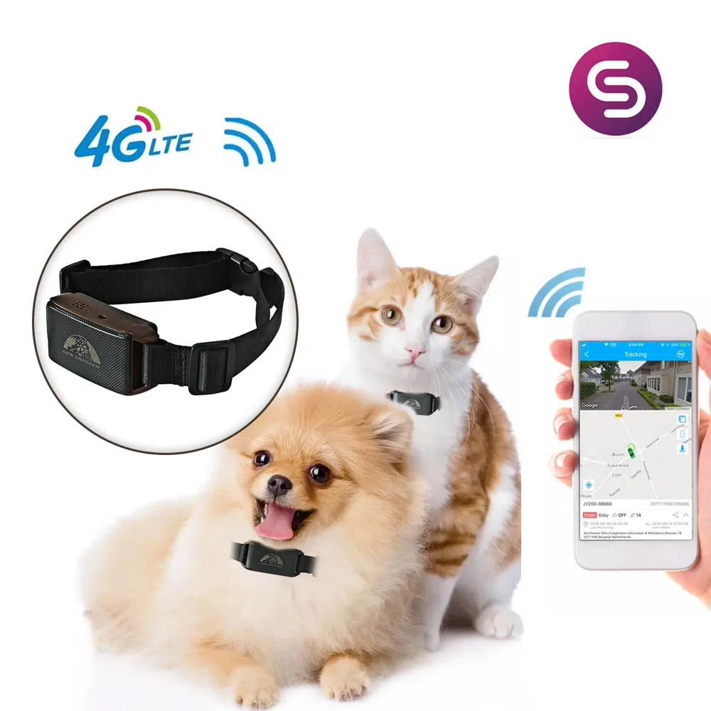 Coban 4G LTE Cat1 pet gpstracker 위치 장치 GPS201 mini gps collar for dog