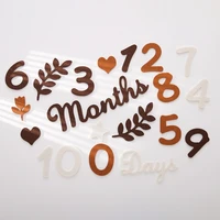 Baby Milestone Cards Soft Felt 0-12 Monthly Milestones Memorial Commemorativenir Photography Accessories For Newborn Birth Gift 4