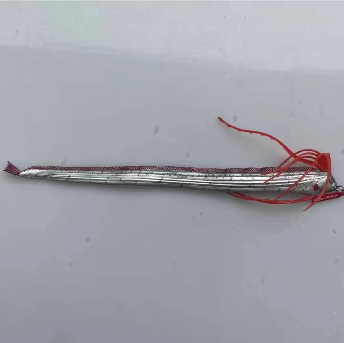 

Pvc figure model toy oarfish long fish