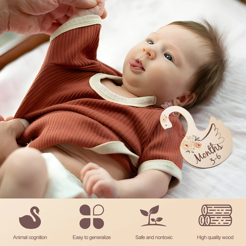 Cygne 7 Pièces - Séparateurs De Garde Robe En Bois Pour Bébé, En Forme