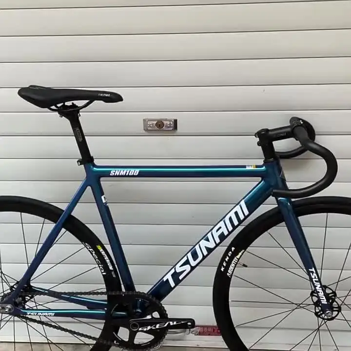 Chameleon Frame TSUNAMI SNM100 Fixie Frame Single Speed