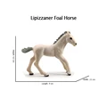 Lipizzaner 1