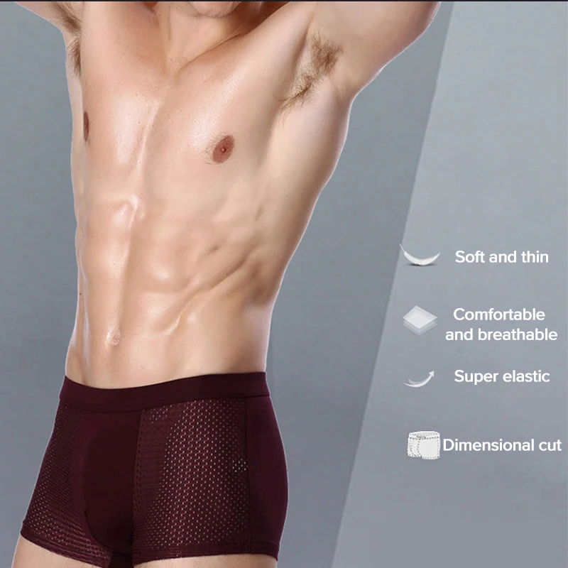 2Pcs/Lot Men's Summer Mesh Underpants Underwear Boxershorts Breathable Hombre Hole Large Size Sexy Male Shorts Lingerie Panties